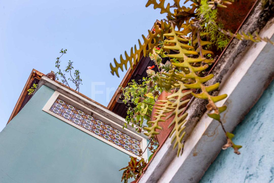 Um jardim para chamar de seu